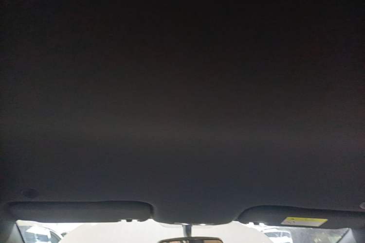 Used BYD Dolphin 2021 401km Knight Edition Headliner