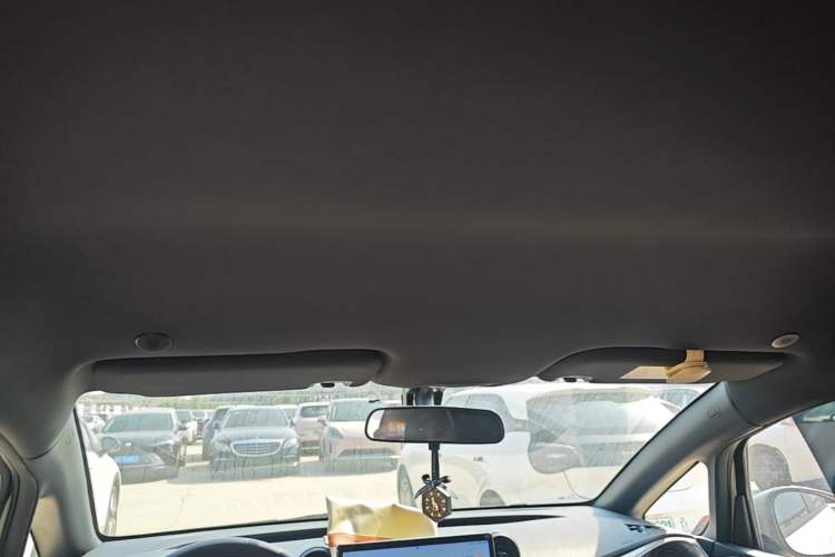 Used BYD Dolphin 2021 405 km Free Version Headliner