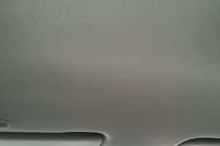 Used BYD Dolphin 2021 405 km Free Version Headliner
