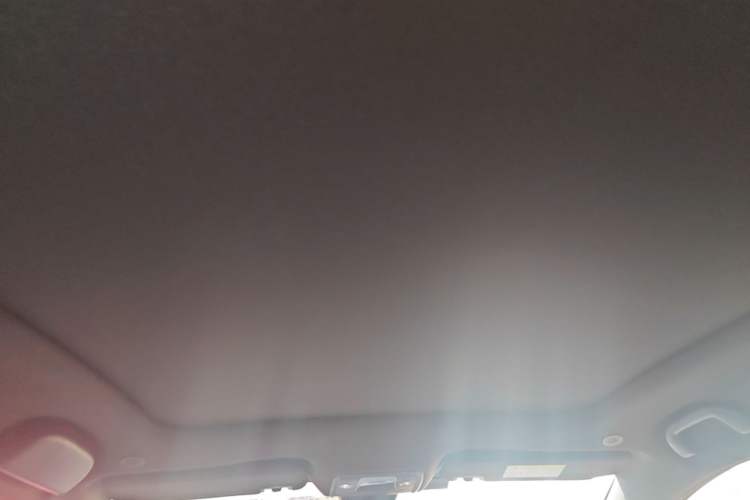 Used BYD Dolphin 2021 405 km Fashion Edition Headliner
