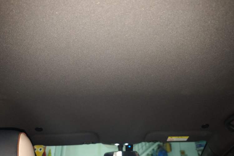 Used BYD Dolphin 2021 405 km Free Version Headliner