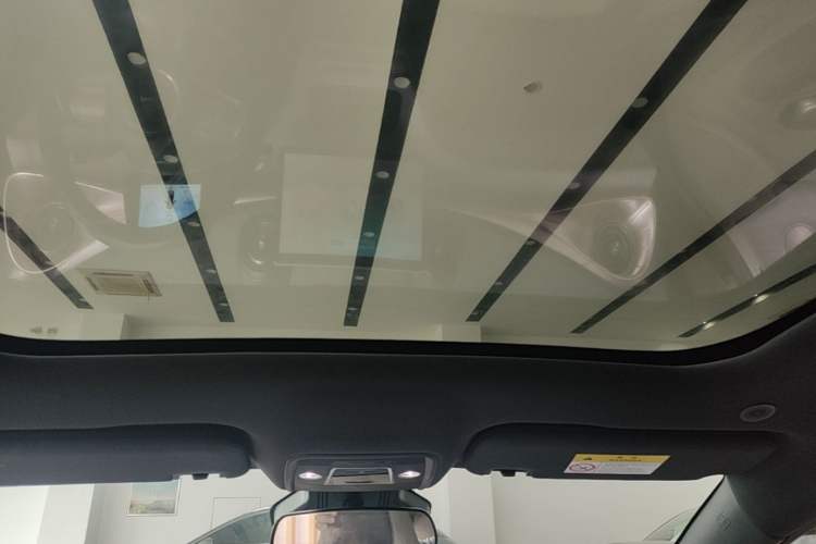 Used BYD Dolphin 2021 401km Knight Edition Headliner