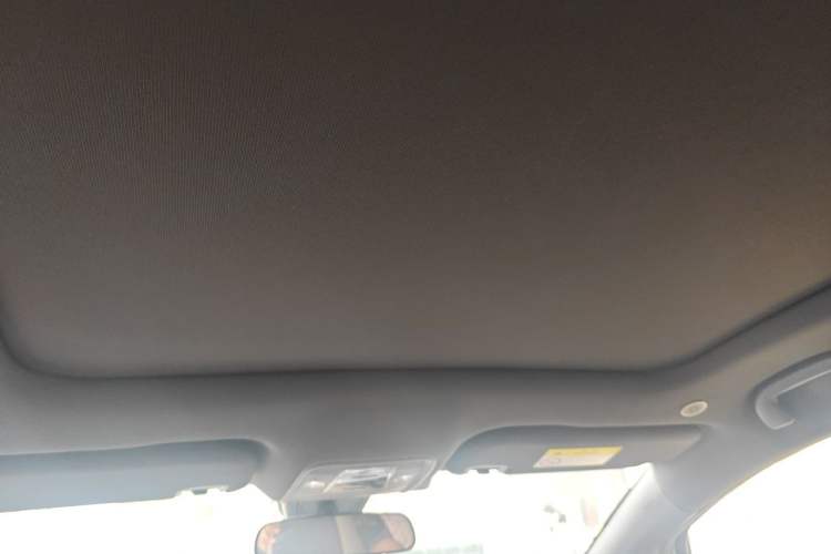 Used BYD Dolphin 2021 405 km Fashion Edition Headliner