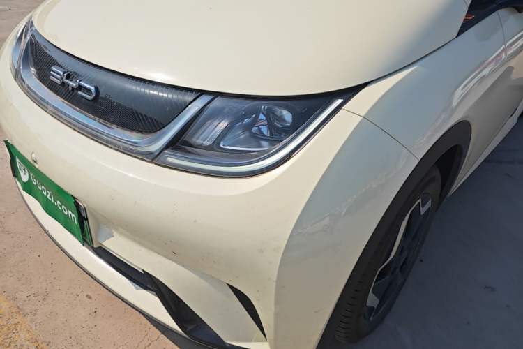 Used BYD Dolphin 2021 405 km Free Version Left Front Headlight