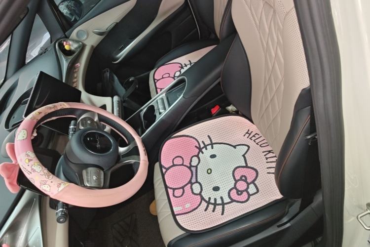 Used BYD Dolphin 2021 405 km Fashion Edition Left Front Seat