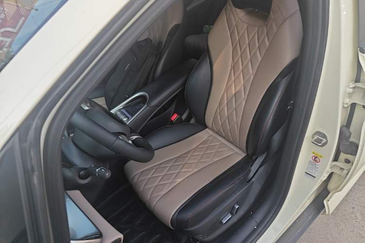 Used BYD Dolphin 2021 405 km Fashion Edition Left Front Seat