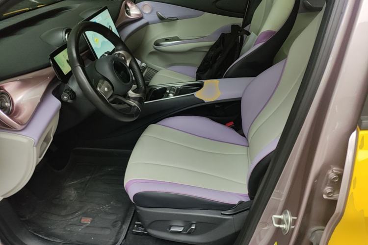 Used BYD Dolphin 2021 401km Knight Edition Left Front Seat