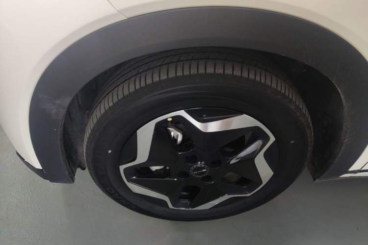Used BYD Dolphin 2021 405 km Free Version Left Front Wheel Hub