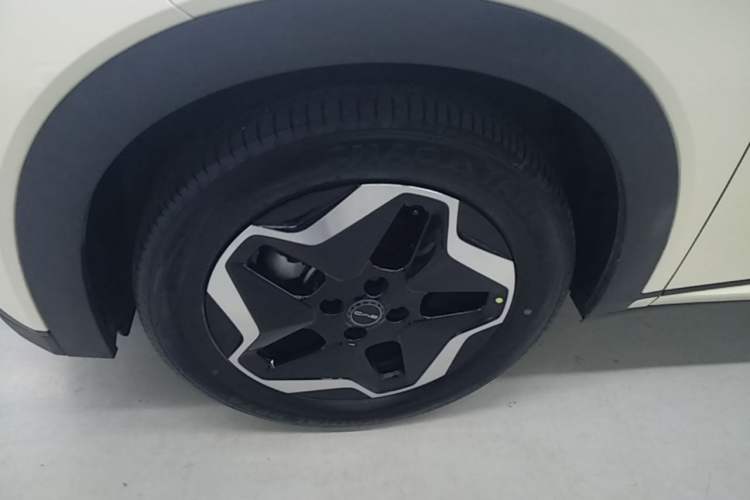 Used BYD Dolphin 2021 405 km Fashion Edition Left Front Wheel Hub
