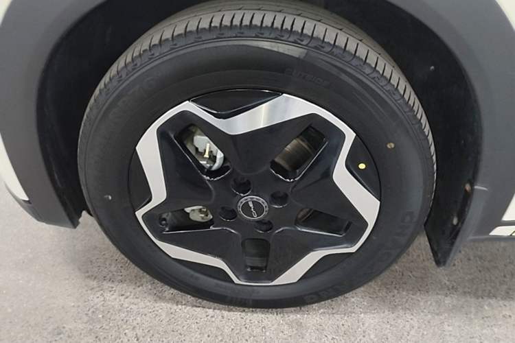 Used BYD Dolphin 2021 405 km Fashion Edition Left Front Wheel Hub