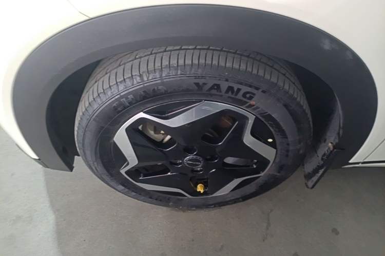 Used BYD Dolphin 2021 405 km Free Version Left Front Wheel Hub