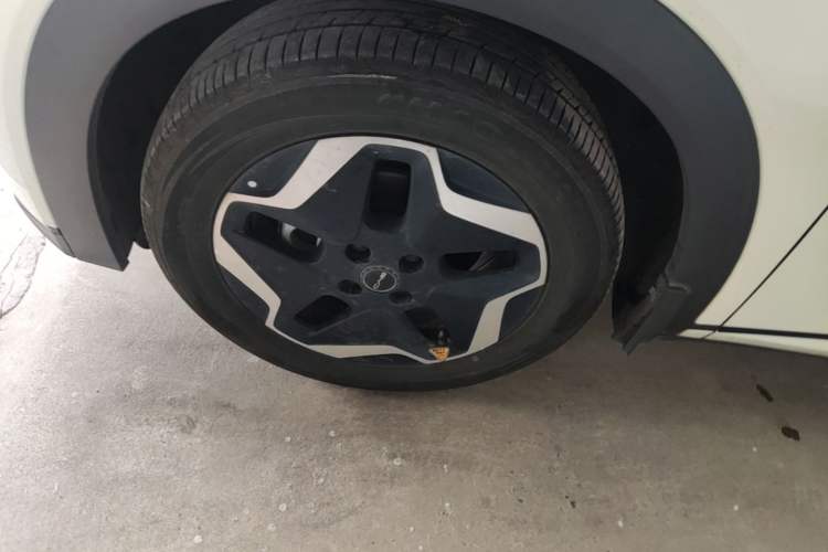 Used BYD Dolphin 2021 405 km Free Version Left Front Wheel Hub