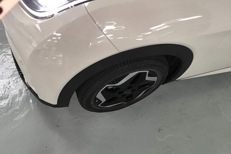 Used BYD Dolphin 2021 405 km Free Version Left Front Wheel Hub