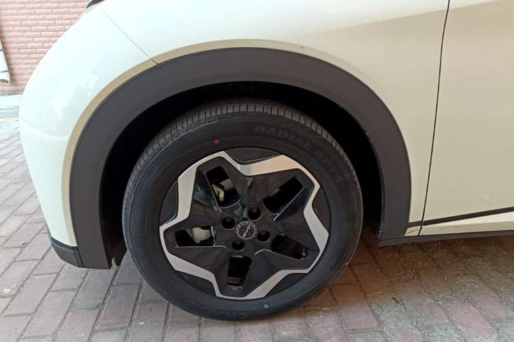 Used BYD Dolphin 2021 405 km Fashion Edition Left Front Wheel Hub