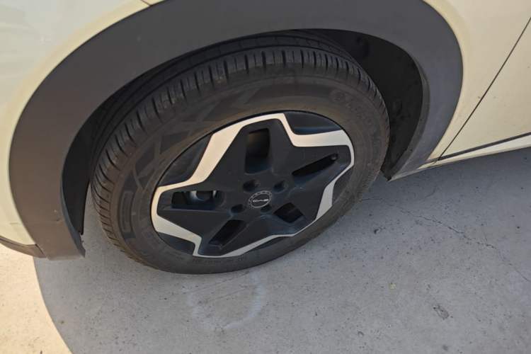 Used BYD Dolphin 2021 405 km Free Version Left Front Wheel Hub