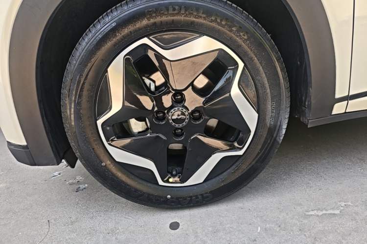 Used BYD Dolphin 2021 405 km Fashion Edition Left Front Wheel Hub