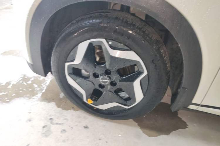 Used BYD Dolphin 2021 405 km Free Version Left Front Wheel Hub