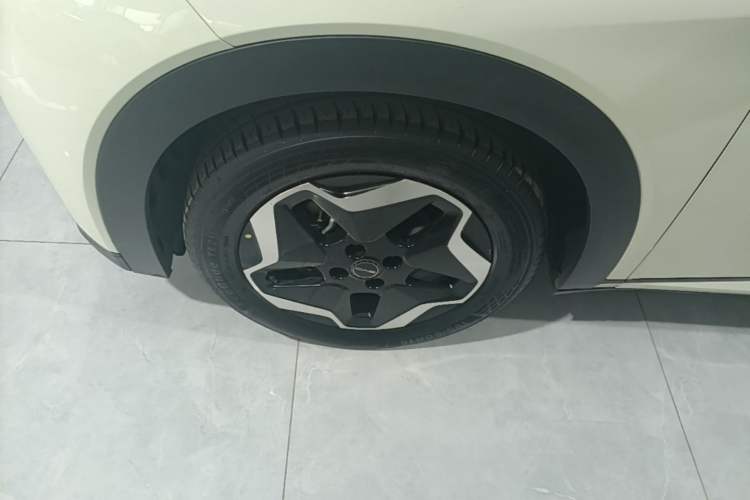 Used BYD Dolphin 2021 405 km Fashion Edition Left Front Wheel Hub