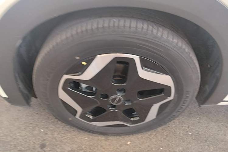 Used BYD Dolphin 2021 405 km Fashion Edition Left Front Wheel Hub