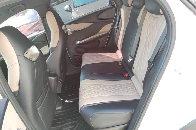 Used BYD Dolphin 2021 405 km Fashion Edition Left Rear Seat