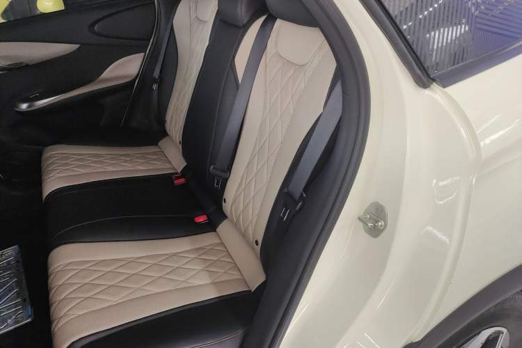 Used BYD Dolphin 2021 405 km Fashion Edition Left Rear Seat