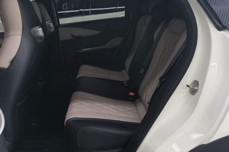 Used BYD Dolphin 2021 405 km Fashion Edition Left Rear Seat