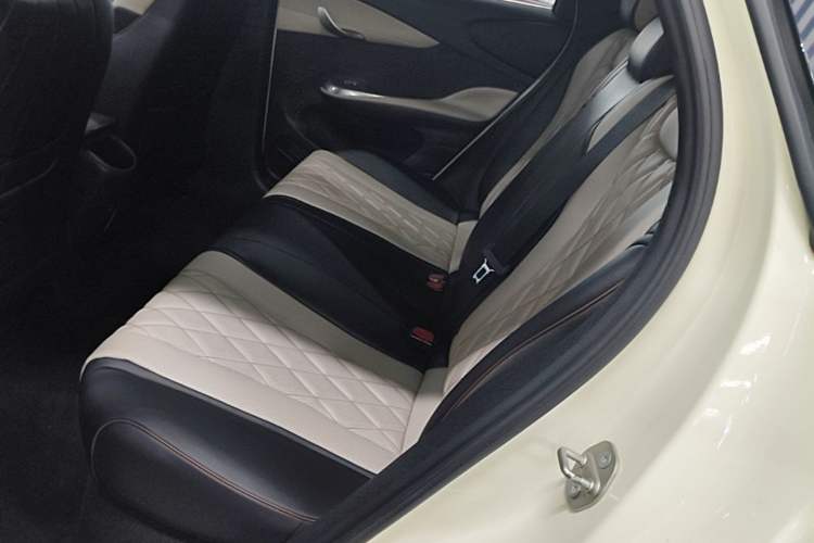 Used BYD Dolphin 2021 405 km Fashion Edition Left Rear Seat