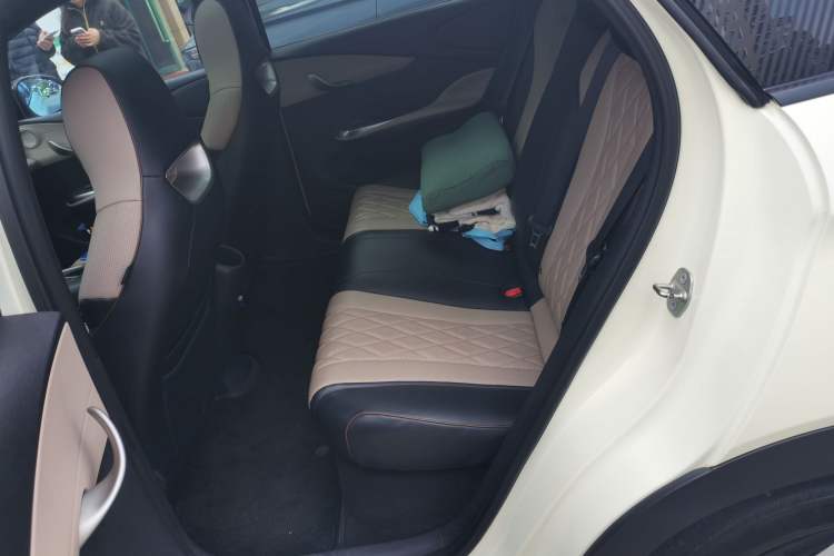 Used BYD Dolphin 2021 405 km Fashion Edition Left Rear Seat