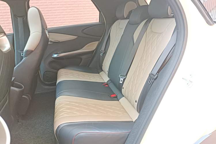 Used BYD Dolphin 2021 405 km Fashion Edition Left Rear Seat