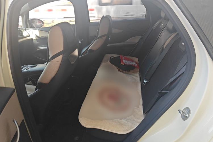 Used BYD Dolphin 2021 405 km Fashion Edition Left Rear Seat