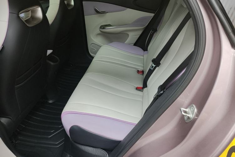 Used BYD Dolphin 2021 401km Knight Edition Left Rear Seat