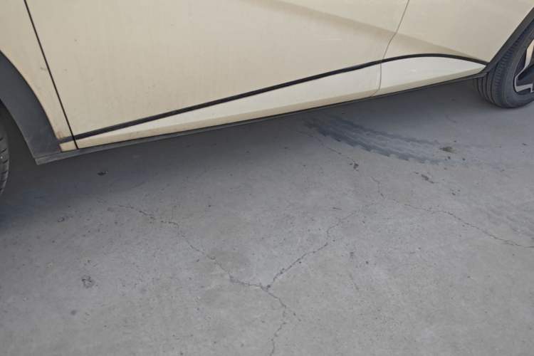 Used BYD Dolphin 2021 405 km Free Version Left Side Sill