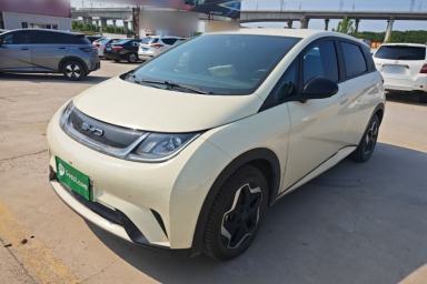 Used BYD Dolphin 2021 405 km Free Version