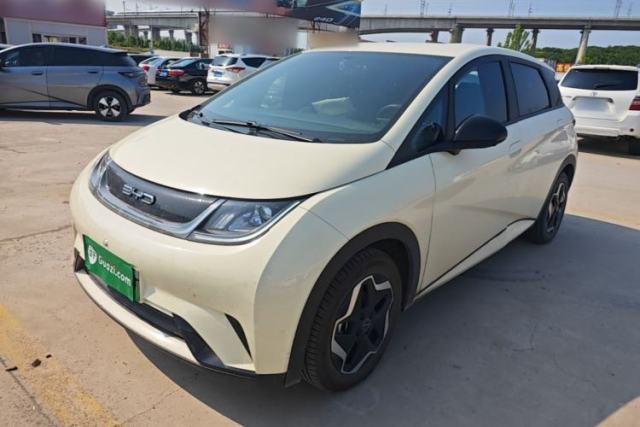 Used BYD Dolphin 2021 405 km Free Version