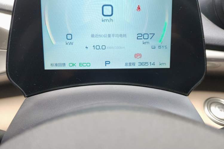 Used BYD Dolphin 2021 405 km Fashion Edition Odometer Close Up