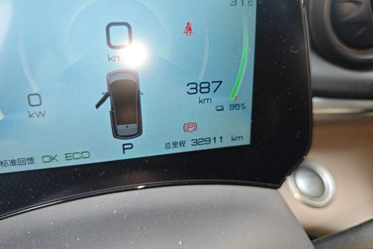 Used BYD Dolphin 2021 405 km Fashion Edition Odometer Close Up