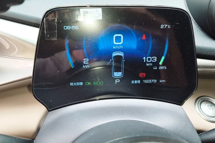 Used BYD Dolphin 2021 405 km Free Version Odometer Close Up