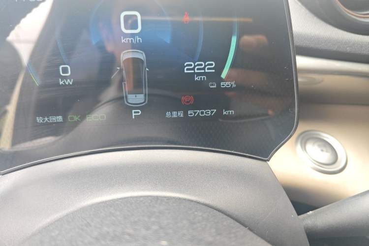 Used BYD Dolphin 2021 405 km Fashion Edition Odometer Close Up