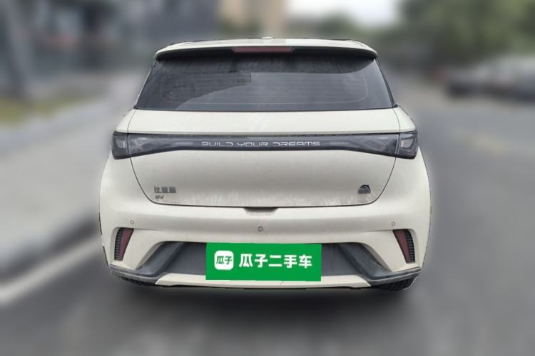 Used BYD Dolphin 2021 405 km Fashion Edition Rear