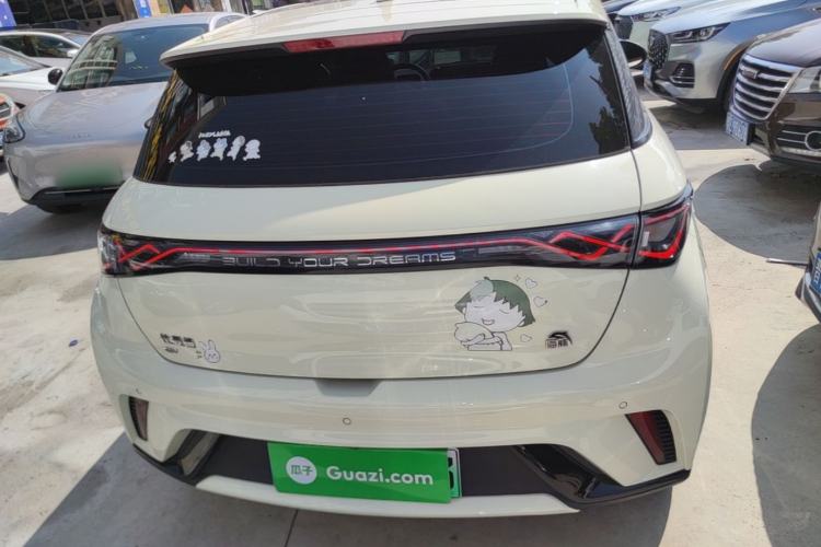 Used BYD Dolphin 2021 405 km Fashion Edition Rear