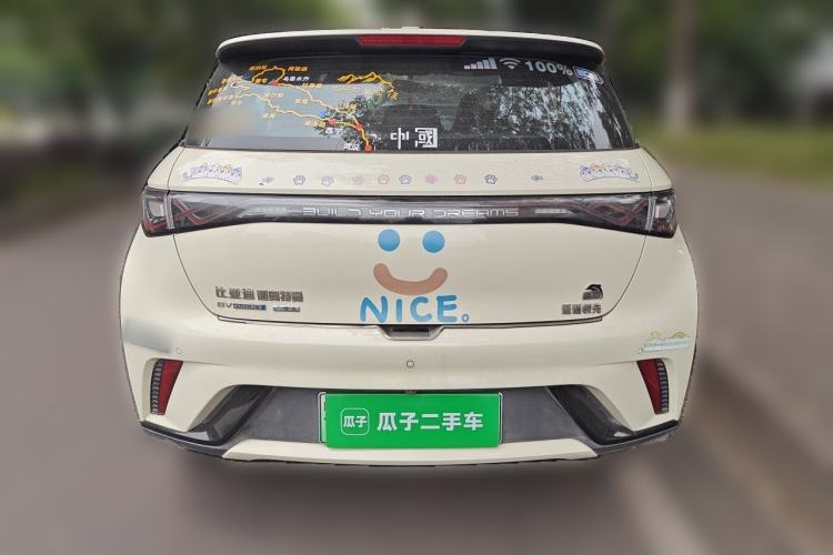 Used BYD Dolphin 2021 405 km Free Version Rear