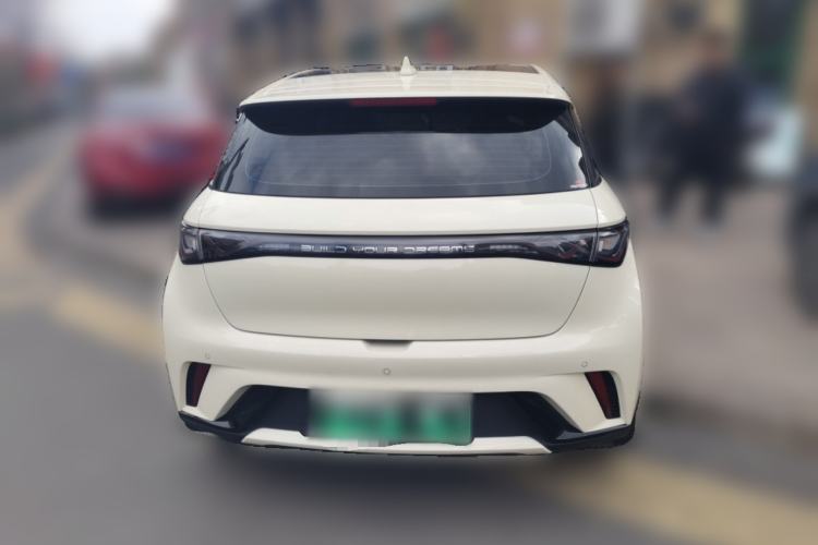 Used BYD Dolphin 2021 405 km Fashion Edition Rear