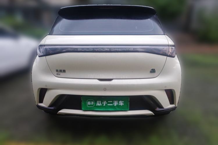 Used BYD Dolphin 2021 405 km Fashion Edition Rear
