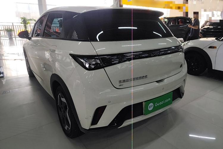 Used BYD Dolphin 2021 405 km Free Version Rear Left 45 Deg