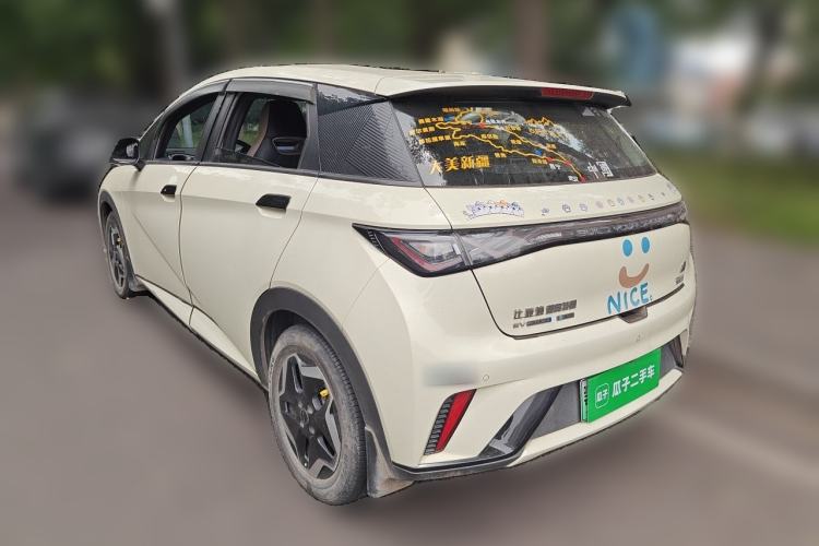 Used BYD Dolphin 2021 405 km Free Version Rear Left 45 Deg