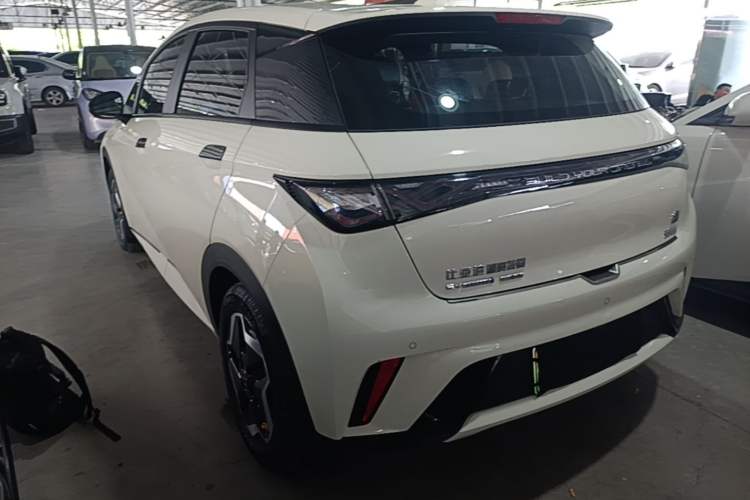 Used BYD Dolphin 2021 405 km Free Version Rear Left 45 Deg