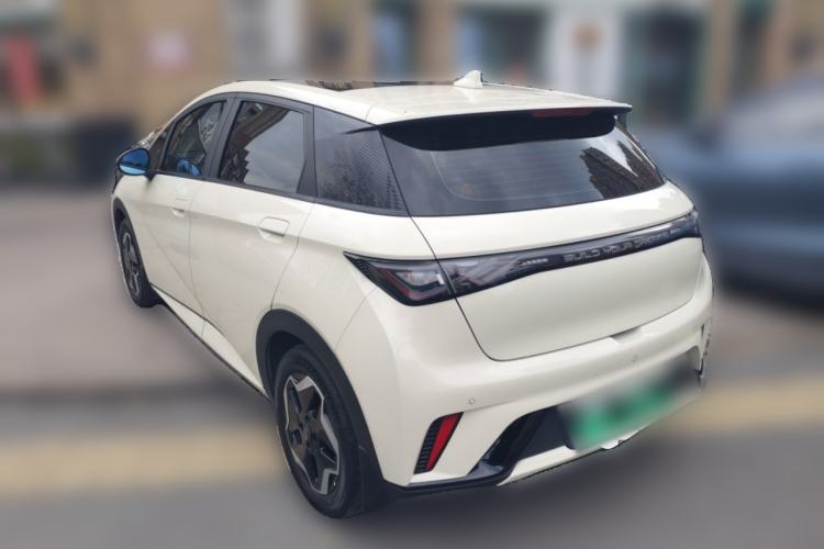 Used BYD Dolphin 2021 405 km Fashion Edition Rear Left 45 Deg