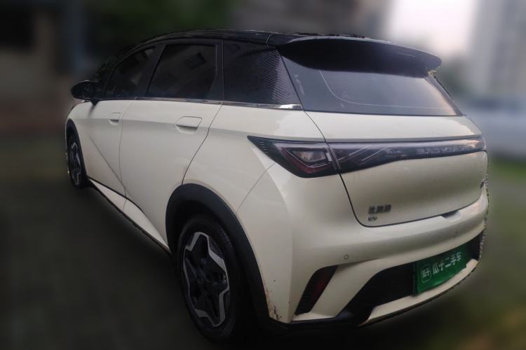 Used BYD Dolphin 2021 405 km Fashion Edition Rear Left 45 Deg