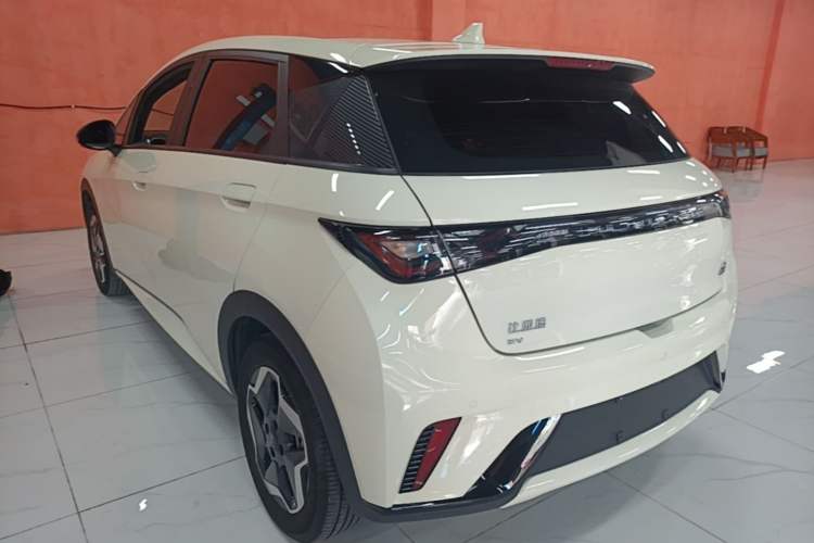 Used BYD Dolphin 2021 405 km Fashion Edition Rear Left 45 Deg