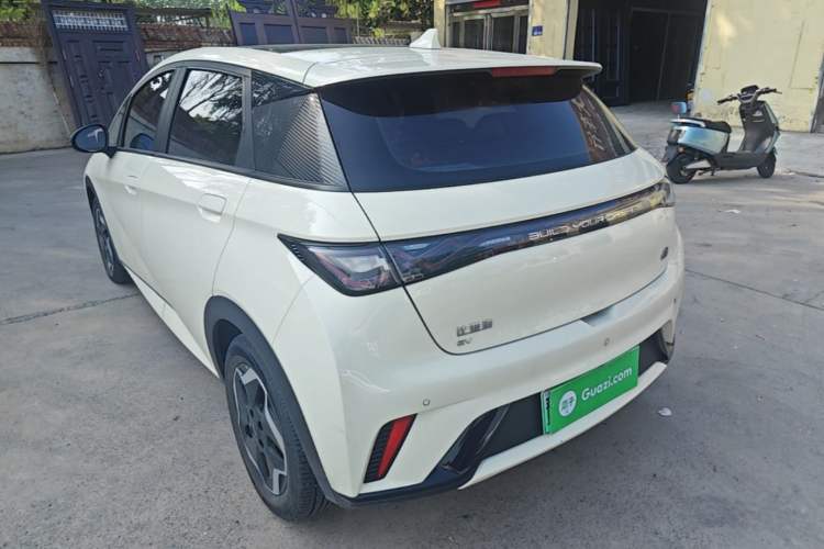 Used BYD Dolphin 2021 405 km Fashion Edition Rear Left 45 Deg